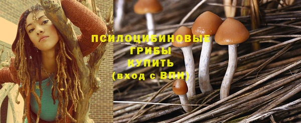 марки lsd Горняк